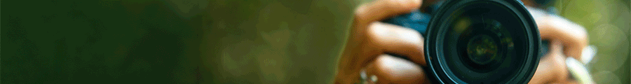spot_img